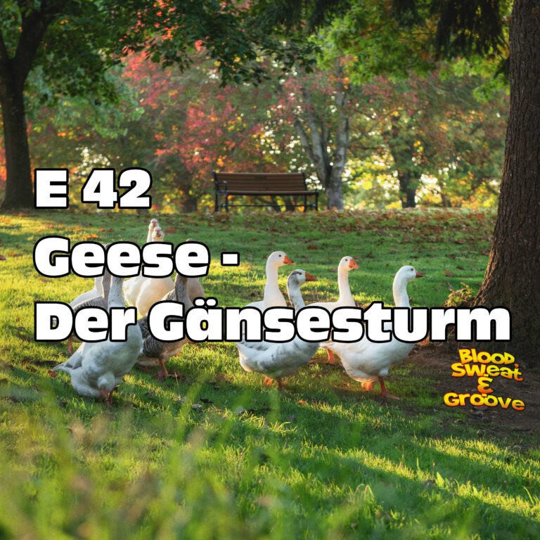 E 42: Geese – Der Gänsesturm